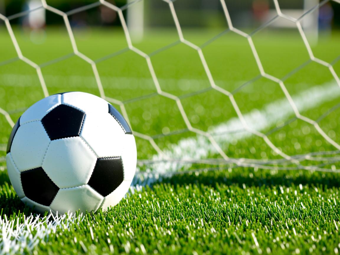 米兰体育官方下载-划频高低之争：美德节奏更激进？，划频和划距对游进速度有什么关系  第2张